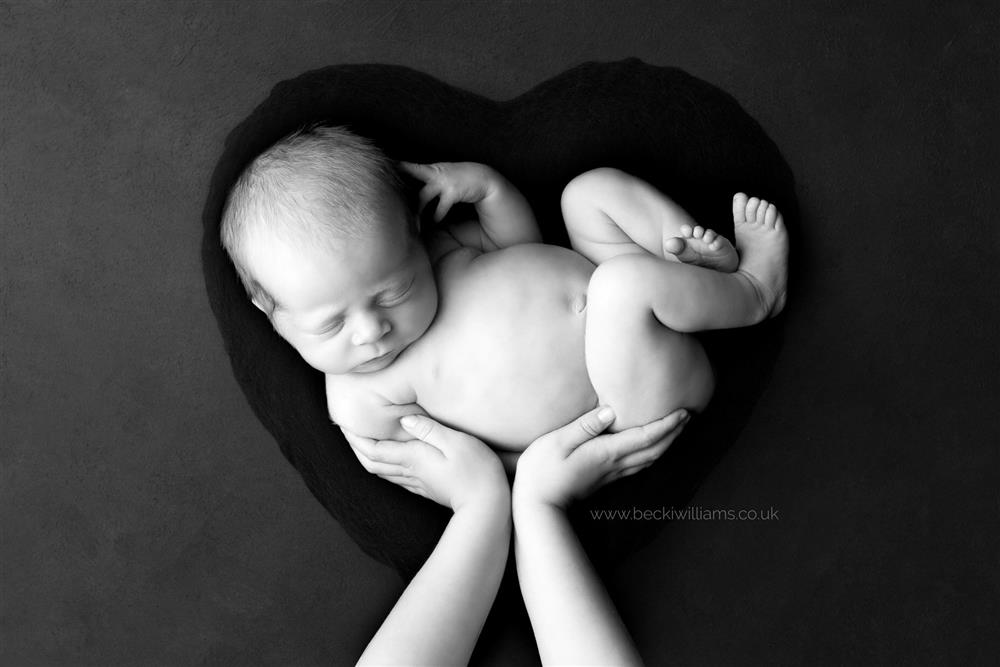baby on black background while hands are holding them up side